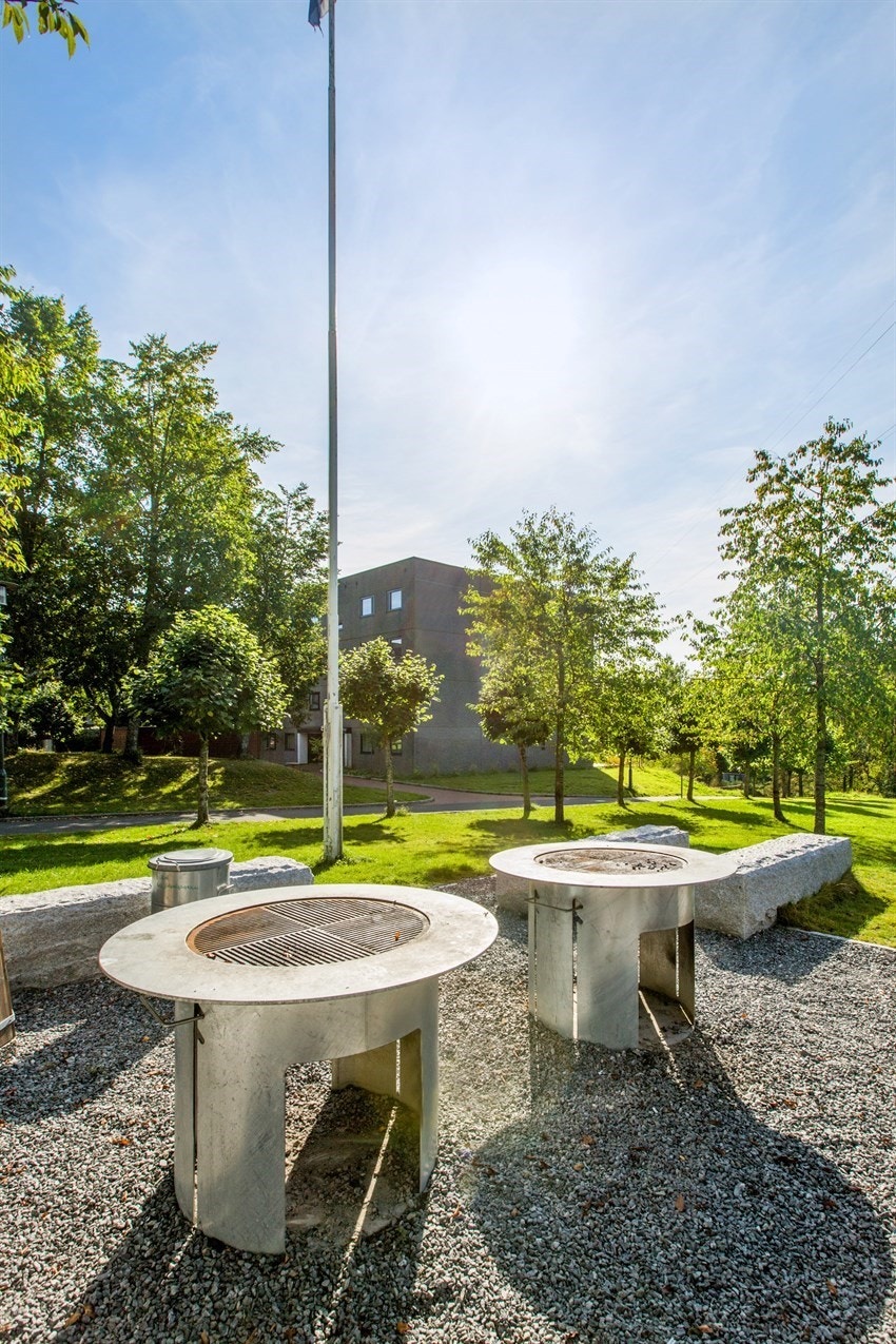 Borettslaget | Hyggelig grillplass Galleribilde