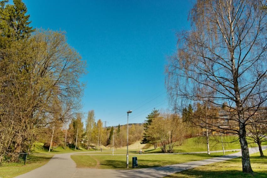 Området | Mærradalen i umiddelbar nærhet Galleribilde