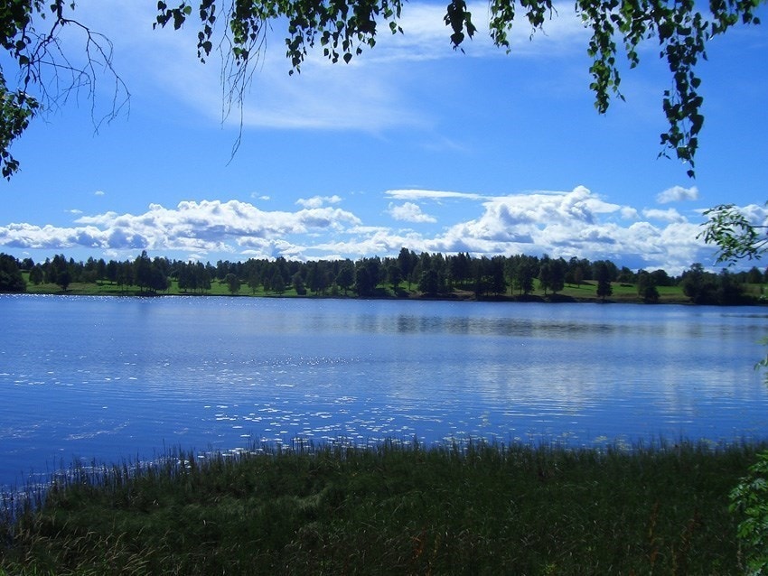 Området | Idylliske Bogstadvannet ikke langt i fra leiligheten Galleribilde