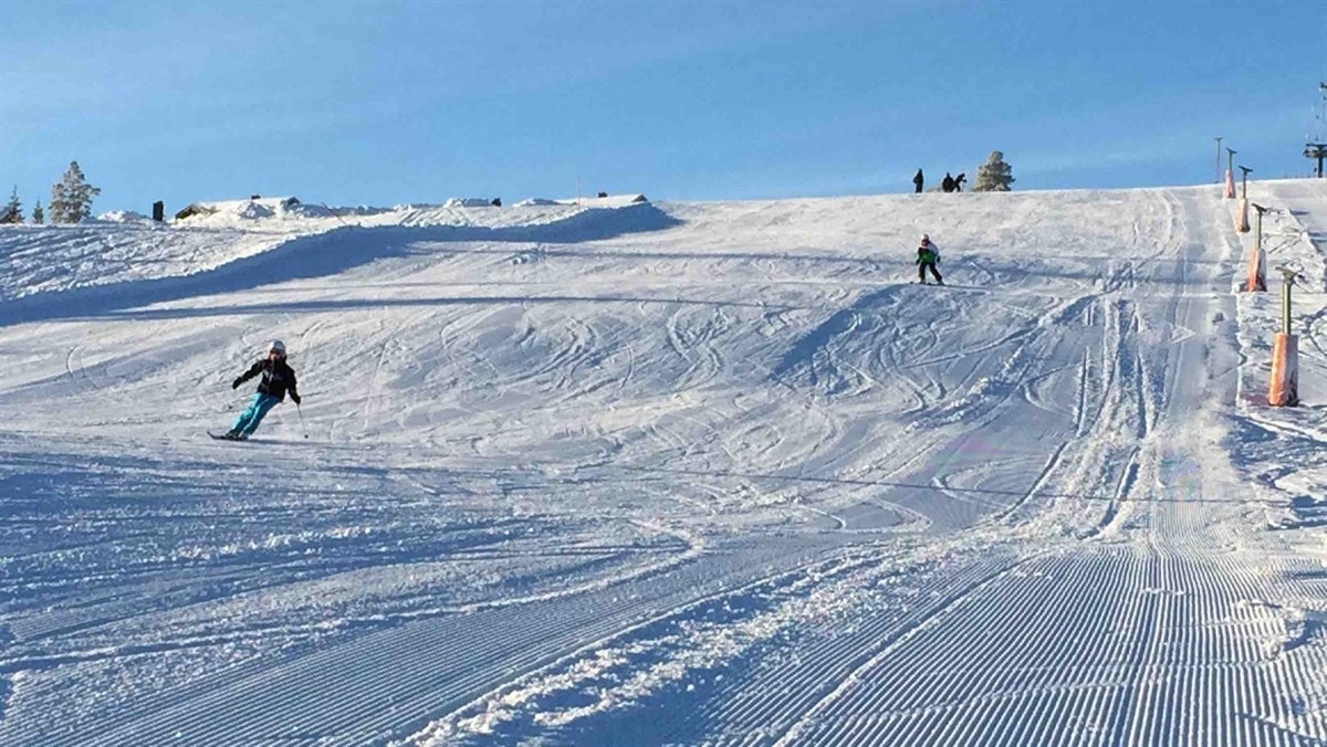 Orren 10B Bakke 5 Galleribilde