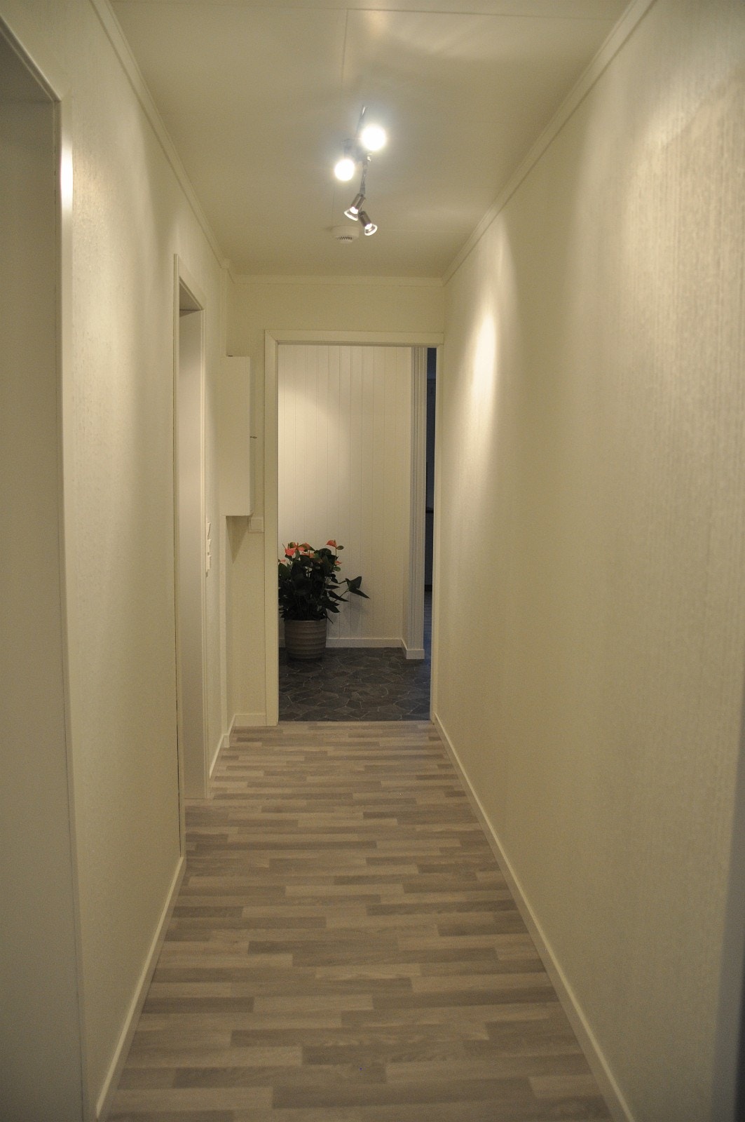 Soveromsgang. Galleribilde