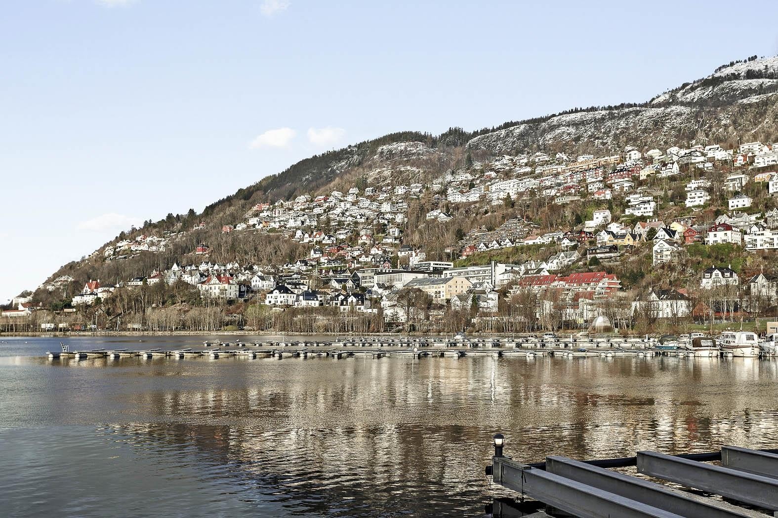 Selv i en travel hverdag rekker man en tur på Fløyen. Galleribilde