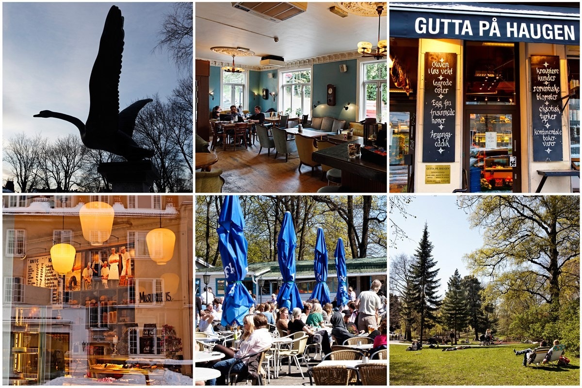 Områdebilde Galleribilde