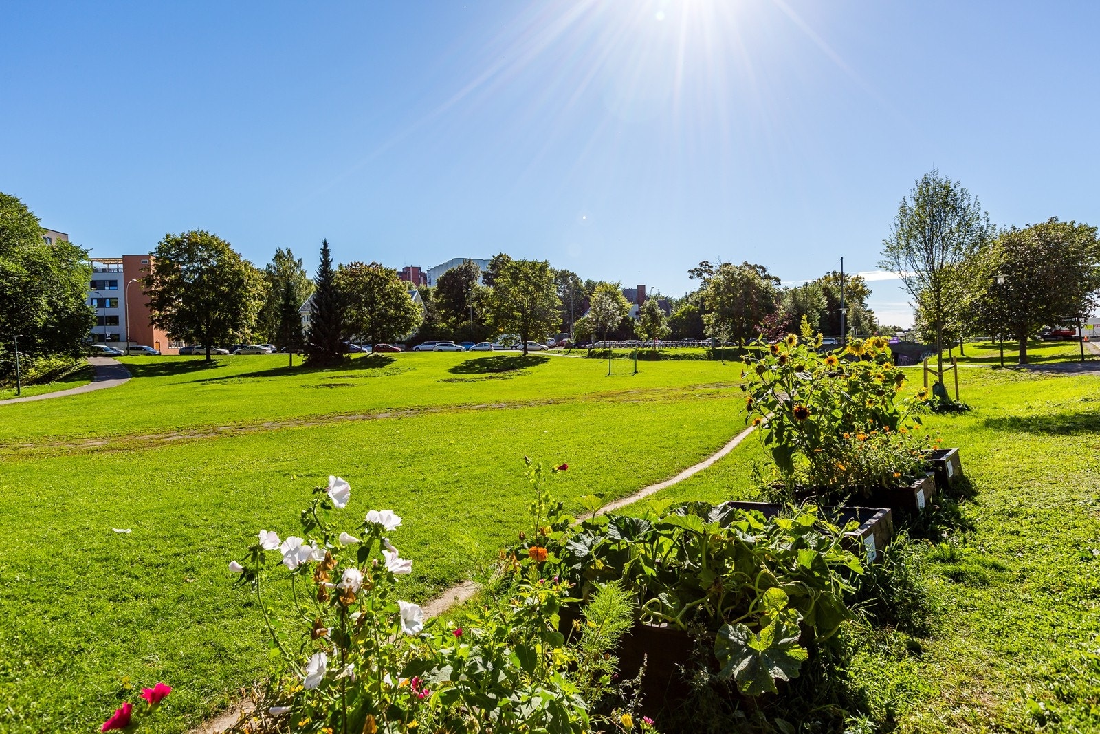 Leiligheten er omgitt av parker og grøntområder. Bildet er tatt ved Bjølsendumpa. Galleribilde