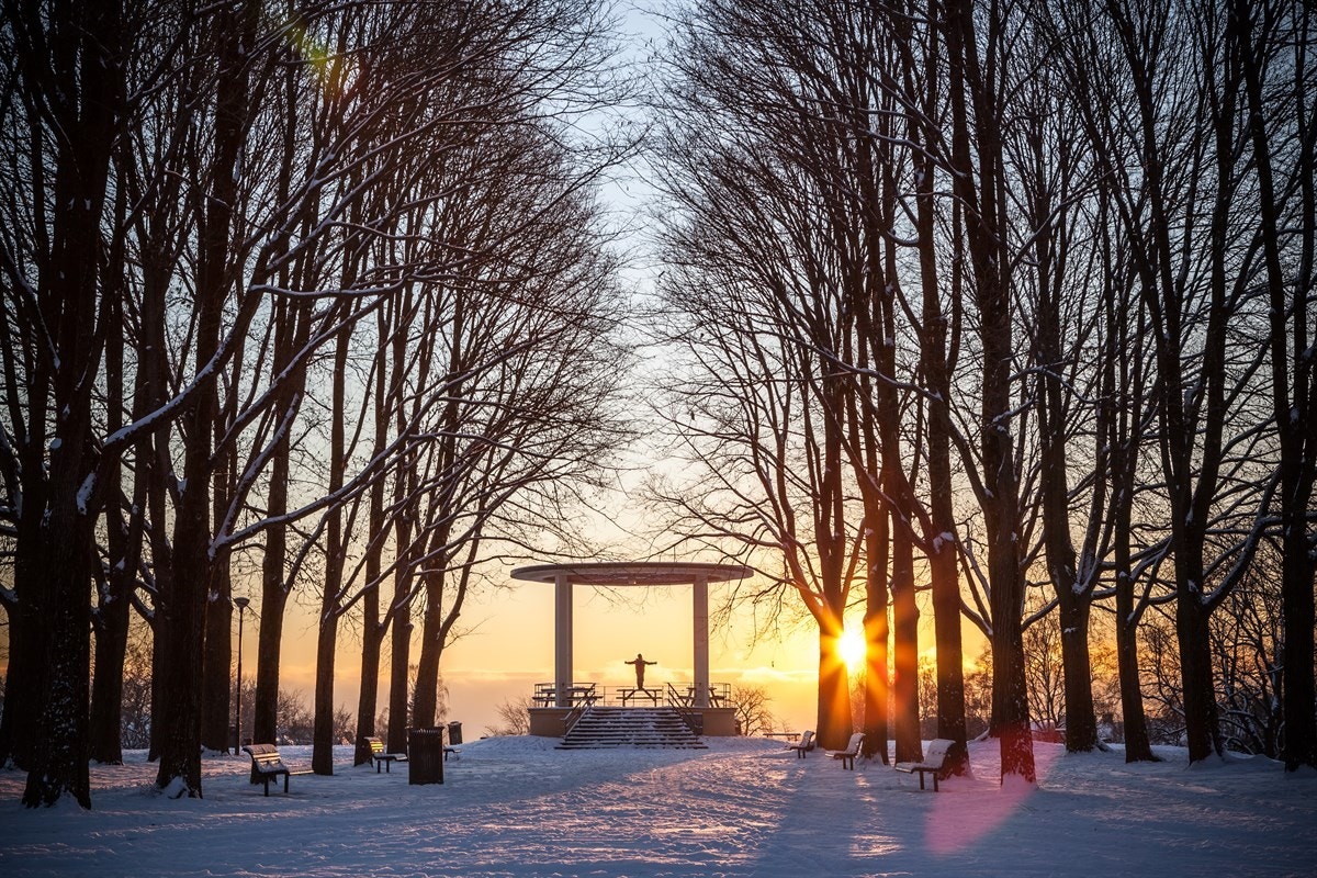 Idylliske Torshovparken ligger kun et steinkast unna. Galleribilde