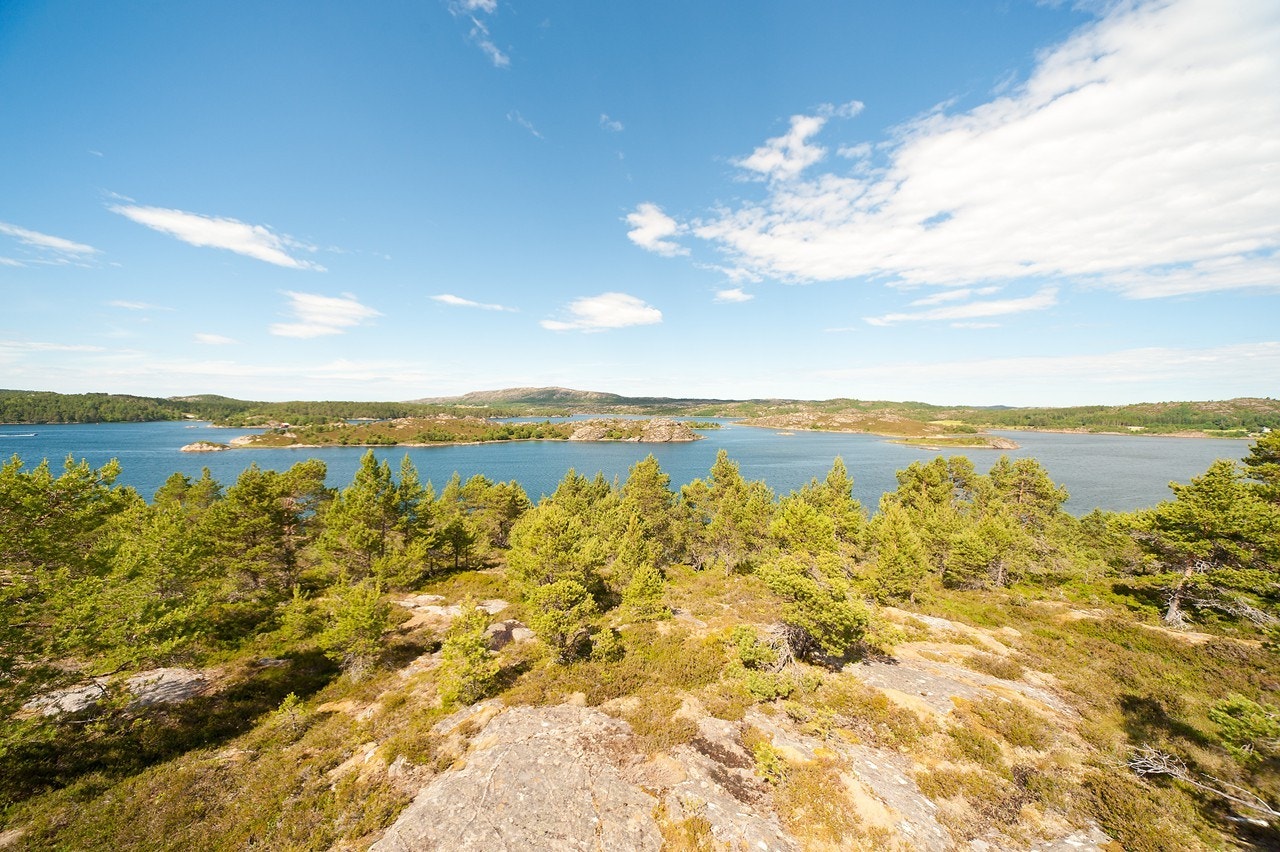 Utsikt mot fjorden Galleribilde