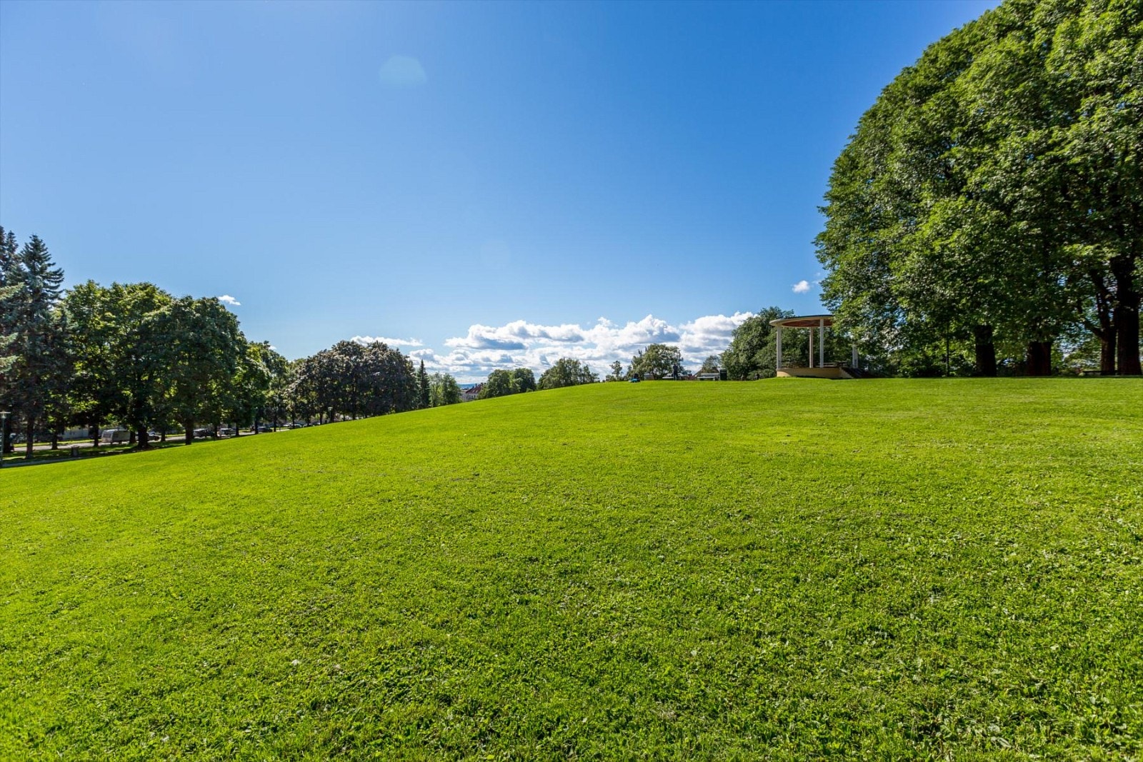 - Nærområdet - Galleribilde