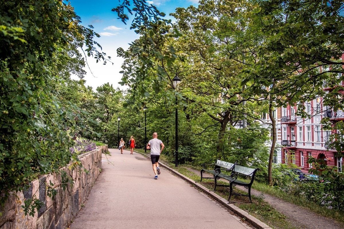 Nærområde Galleribilde