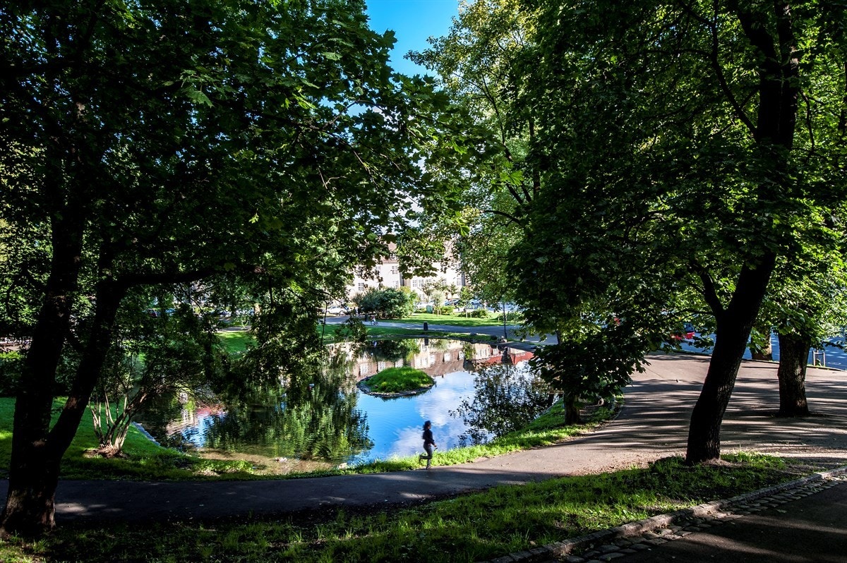 Nærområde Galleribilde