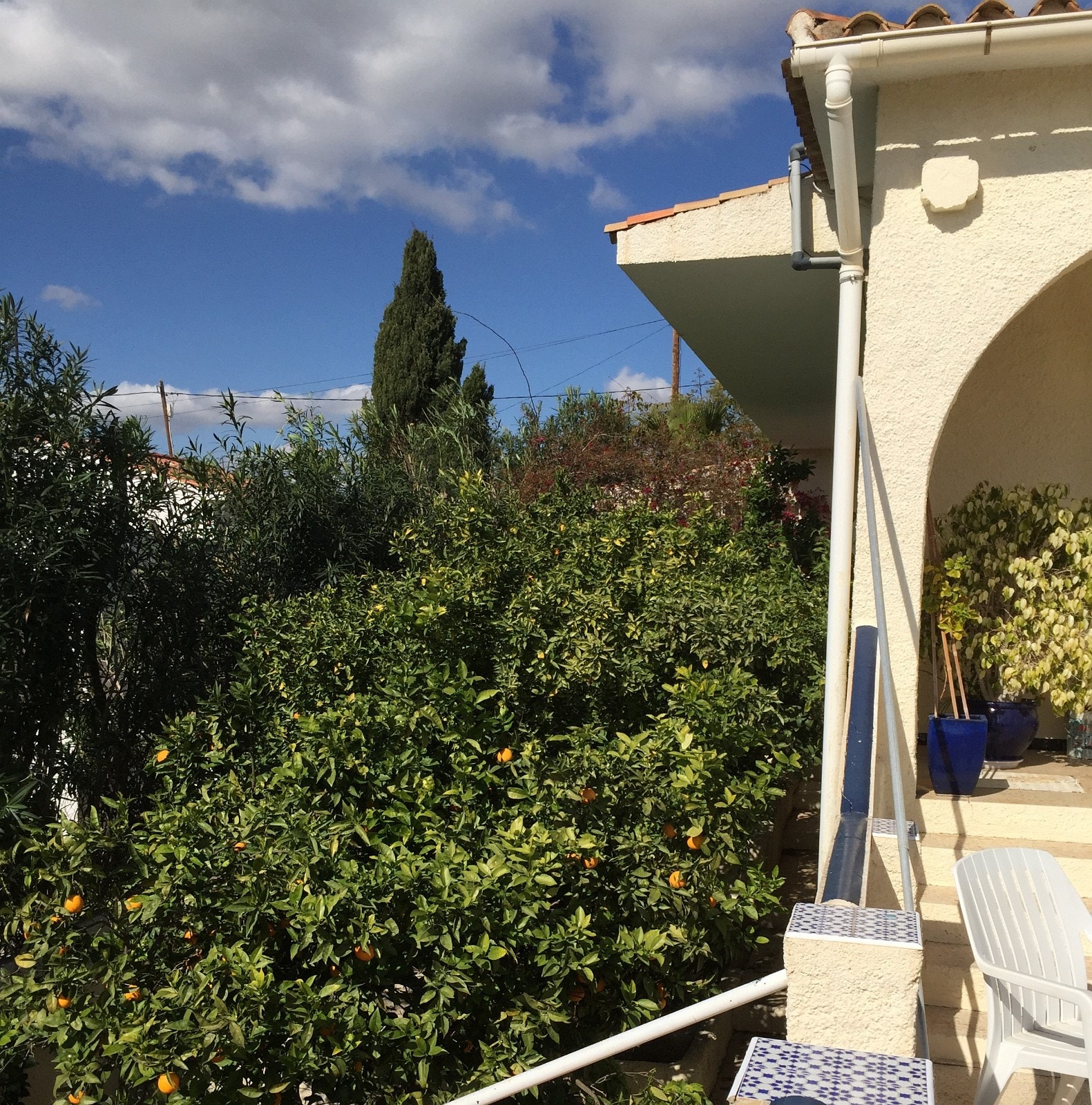 Appelsinlund Galleribilde