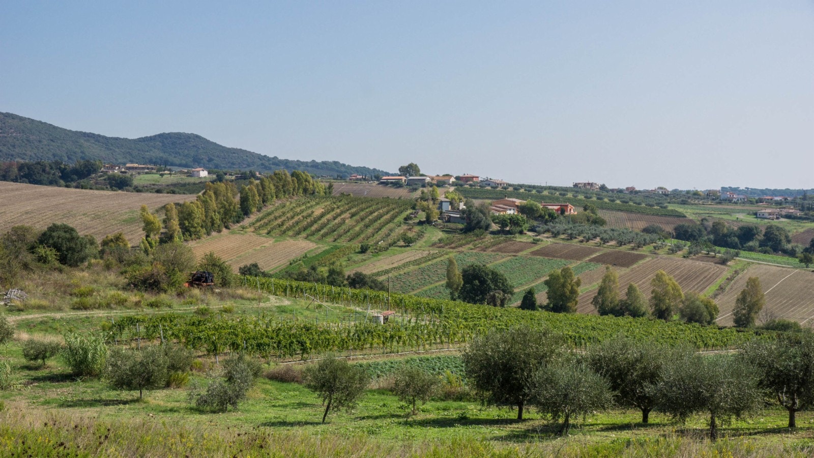 Utsikt fra fra eiendommen Galleribilde