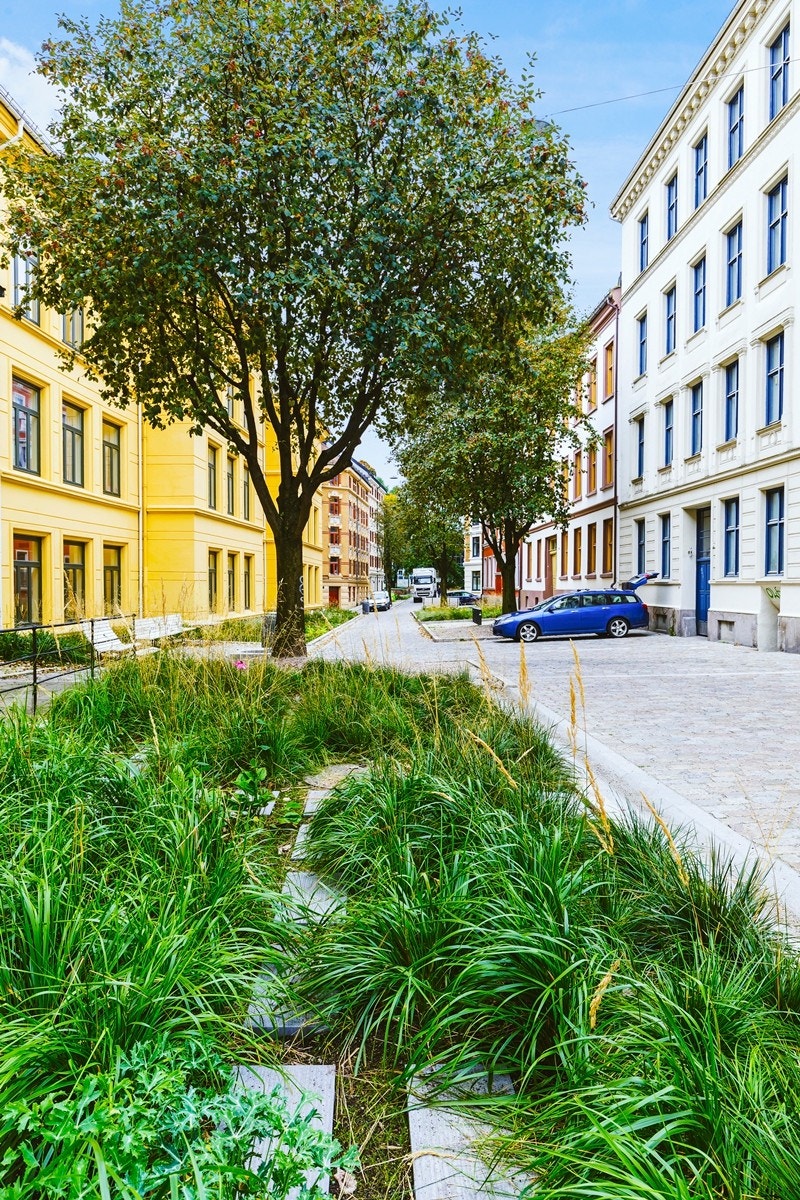 Fredensborg har de siste årene virkelig plassert seg som en av Oslos populære bydeler grunnet sine idylliske omgivelser preget av klassiske bygårder og eldre småhus, grøntområder og parkanlegg, samtidig som det ligger midt i Oslo. Galleribilde