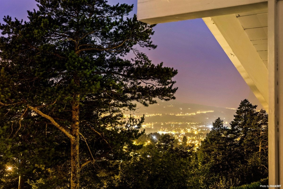 Omradebilde Galleribilde