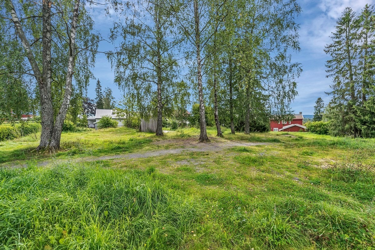 Turterreng Galleribilde