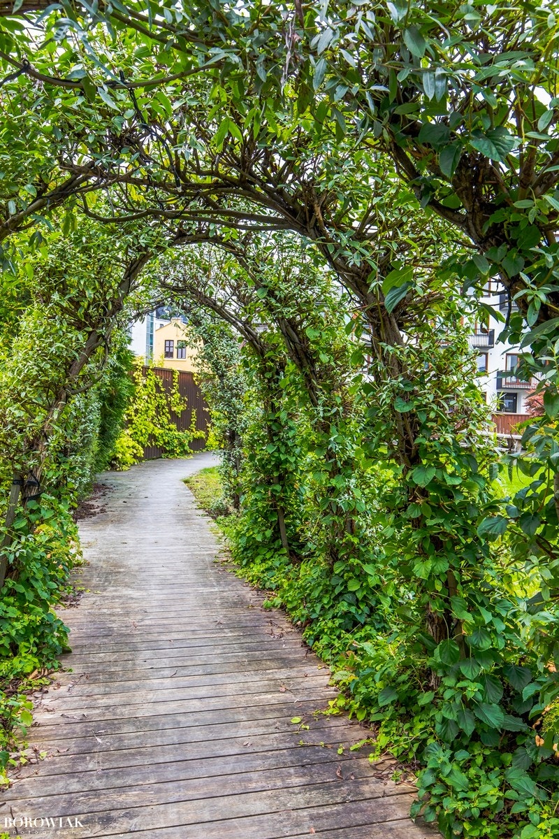 Koselig opparbeidet felles bakgård med hyggelige sittegrupper, gressplen og beplantning som blir hold godt vedlike, og er et hyggelig uteområde for beboerne. Galleribilde