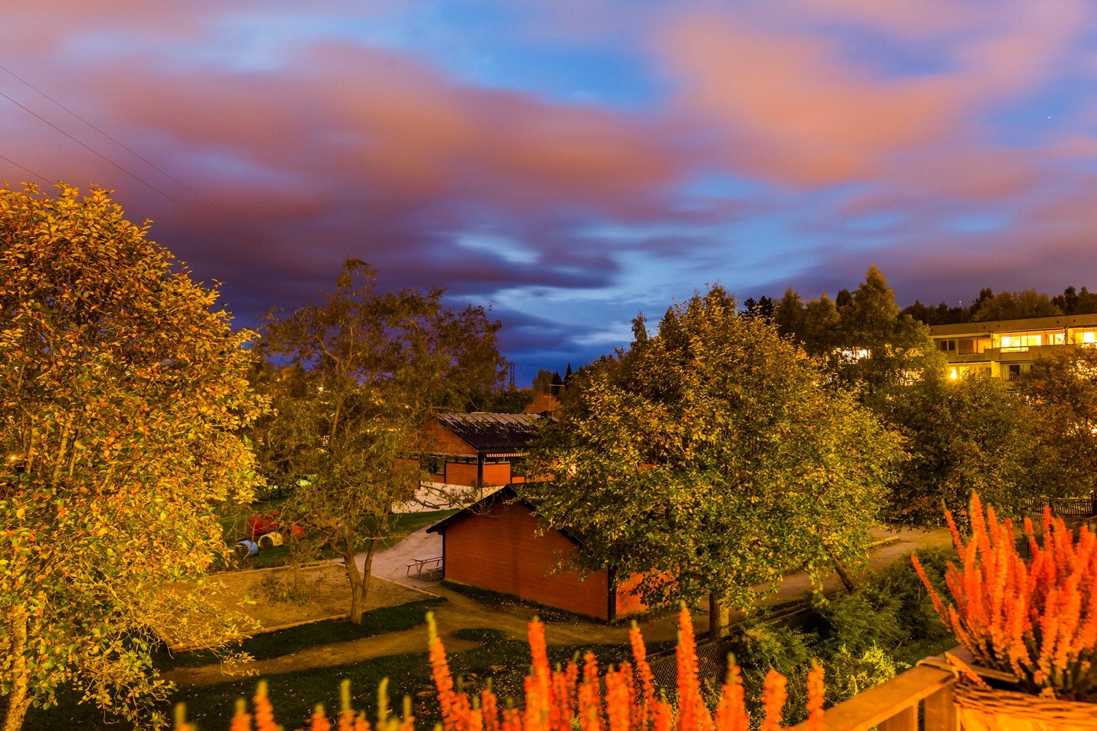 Nærområdet Galleribilde