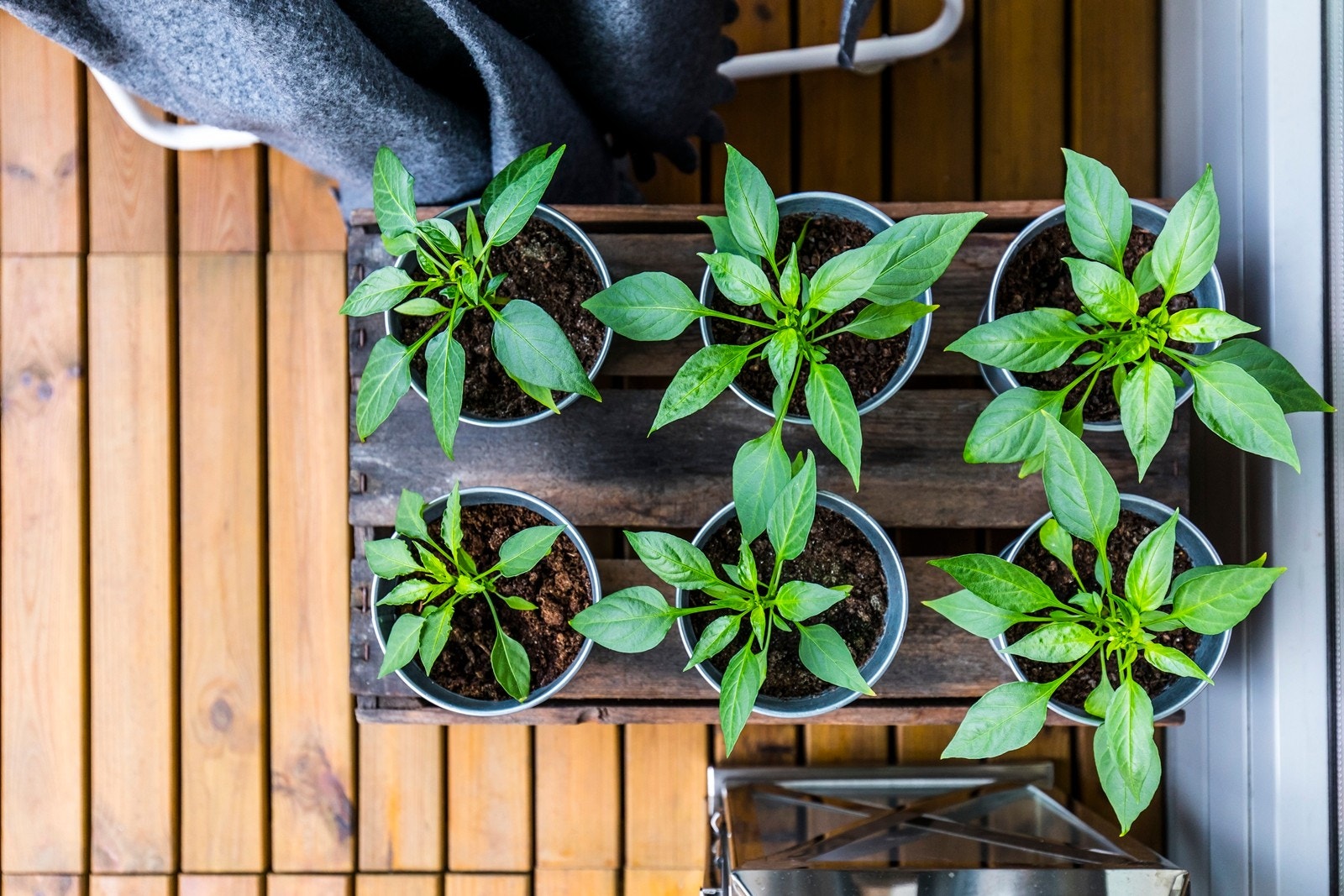 Detalj, balkong Galleribilde