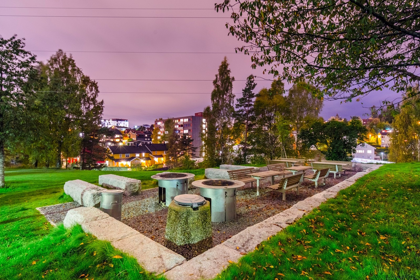 Nærområde Galleribilde