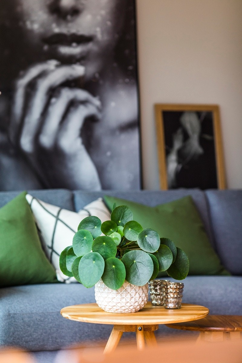 Detalj, stue Galleribilde