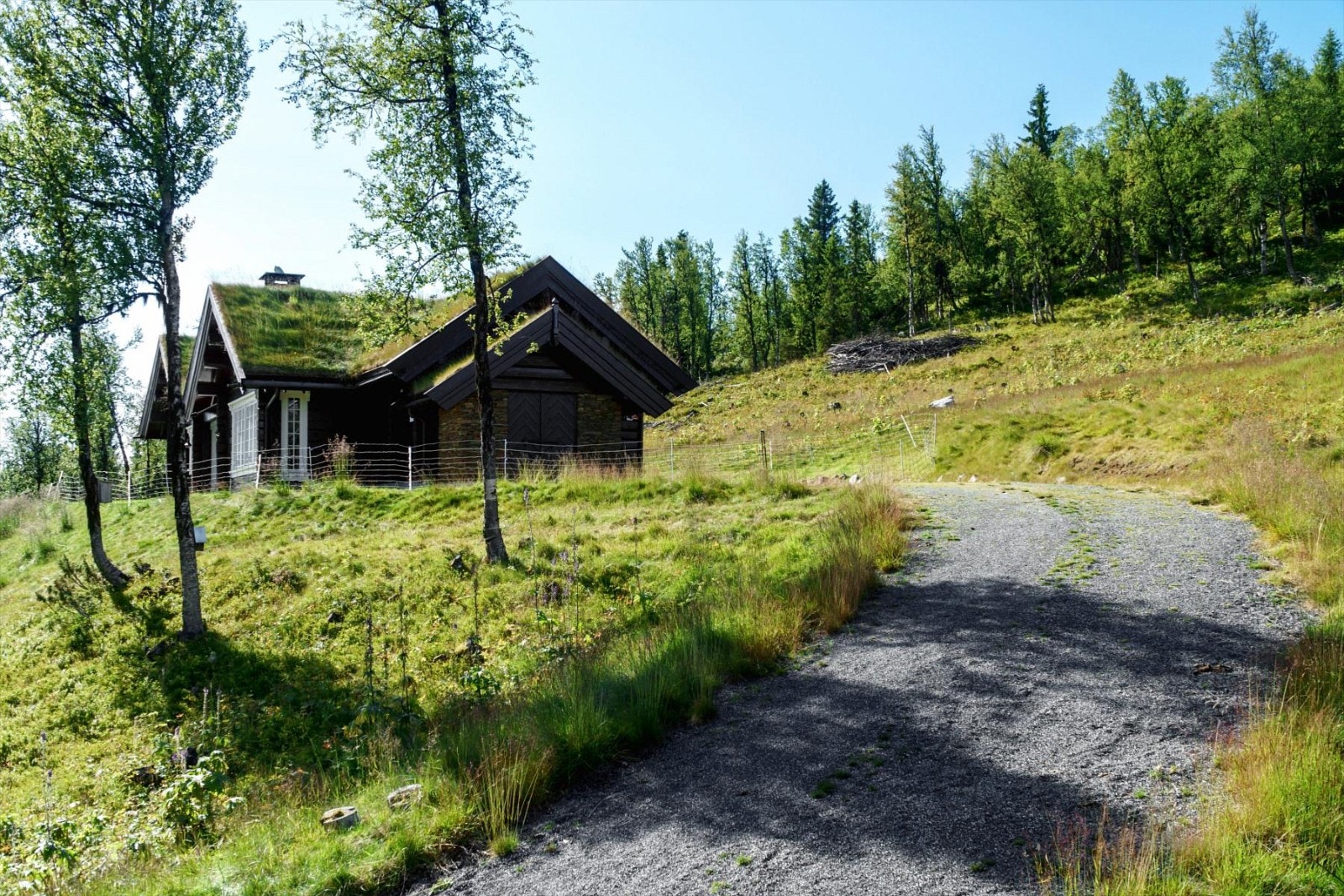 utendørs 6 5100 Galleribilde