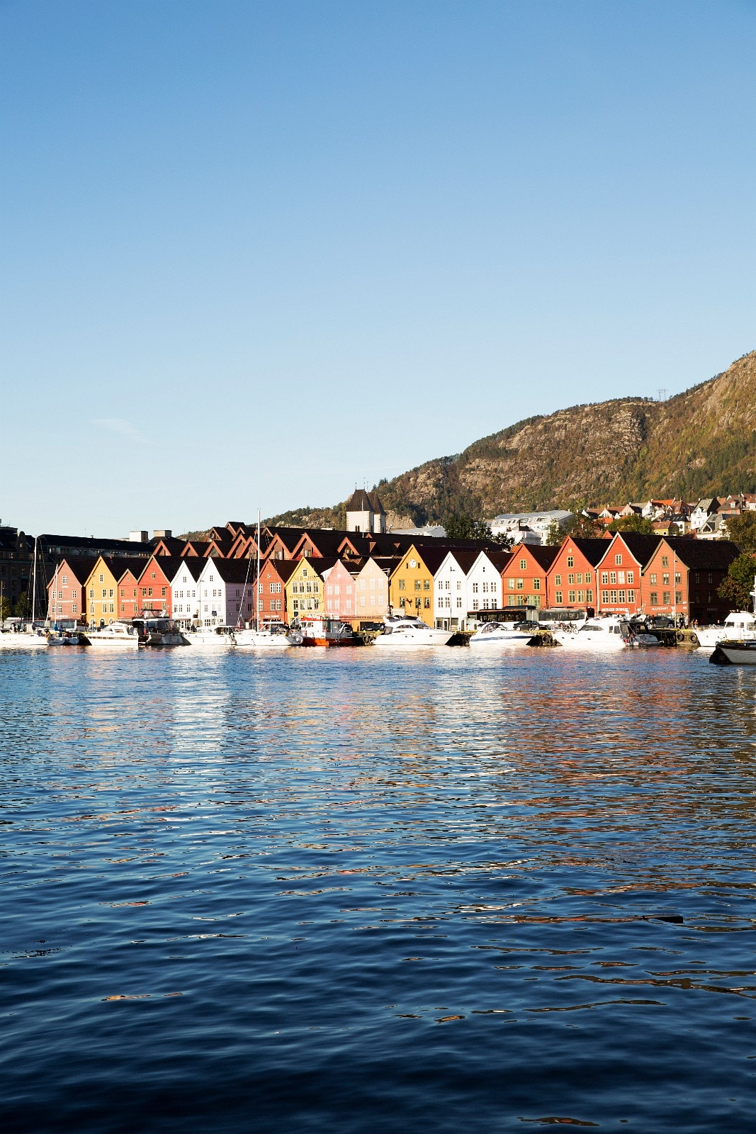 Bryggen i Nærheten Galleribilde
