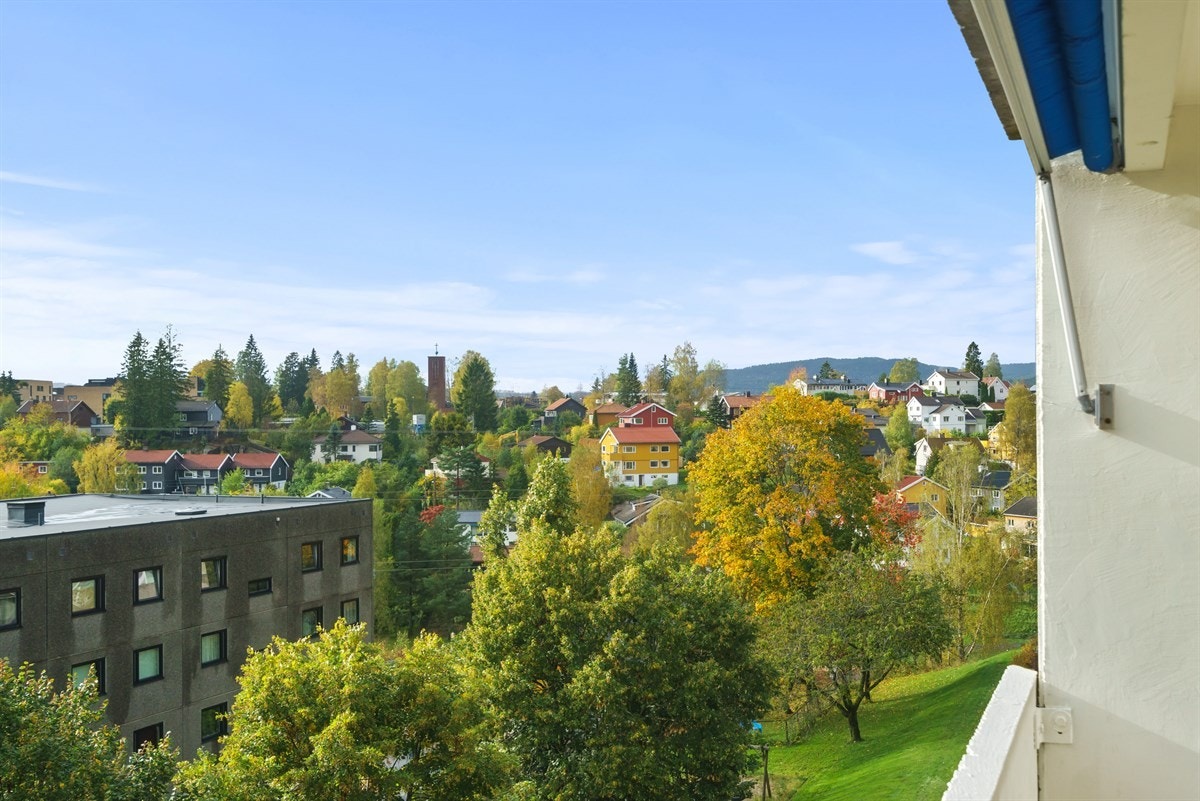 Det er utsikt over flotte grøntarelaer og lekeplasser Galleribilde