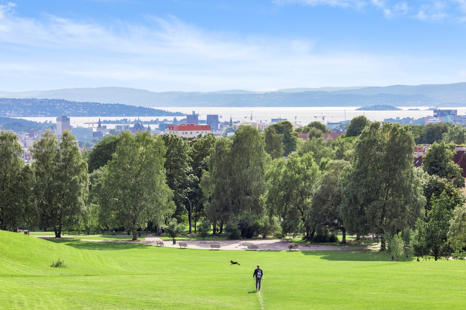 Herlig utsikt fra balkongen over Torshovdalen og helt ned til Oslofjorden! Galleribilde
