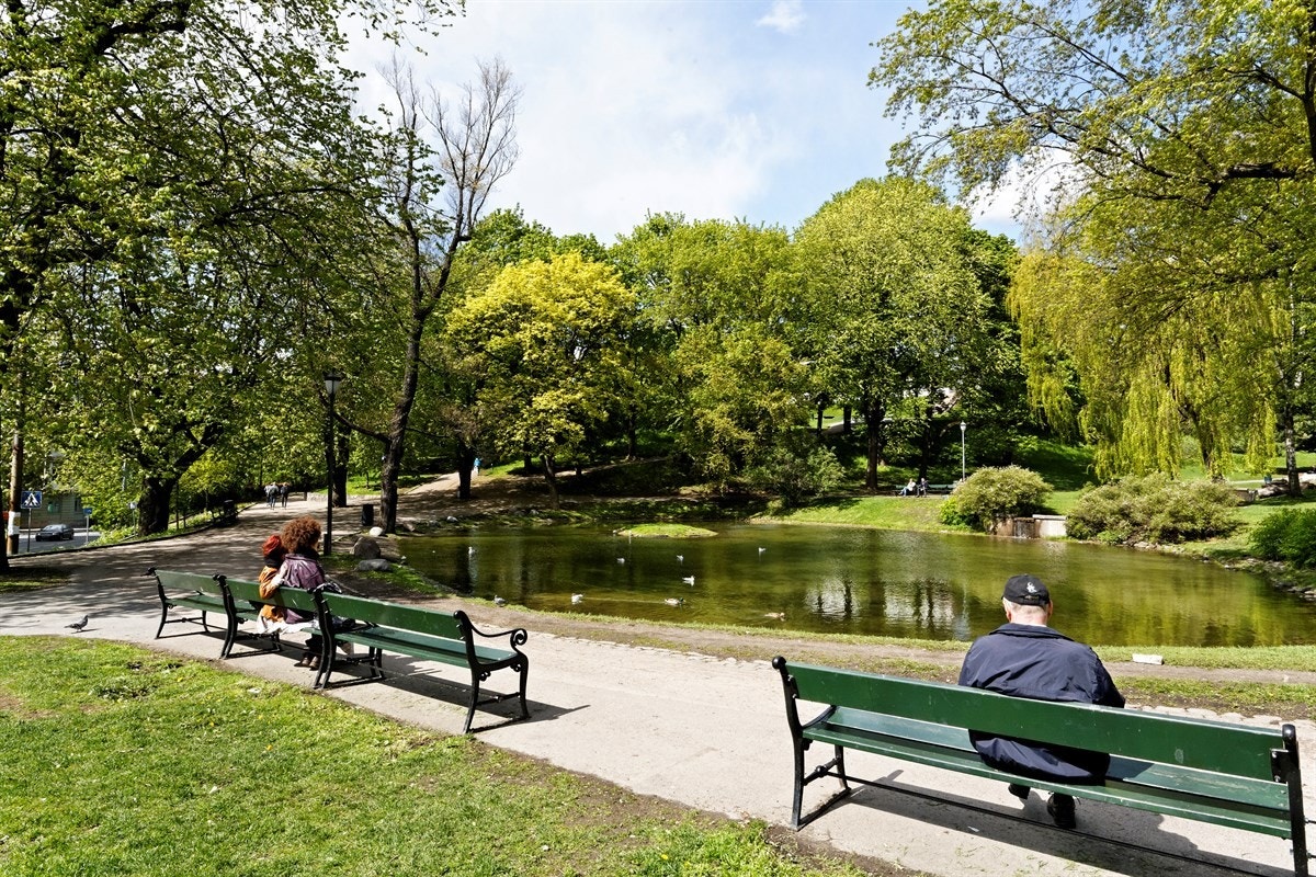 Nydelig nærområde med alt av fasiliteter innenfor kort avstand Galleribilde