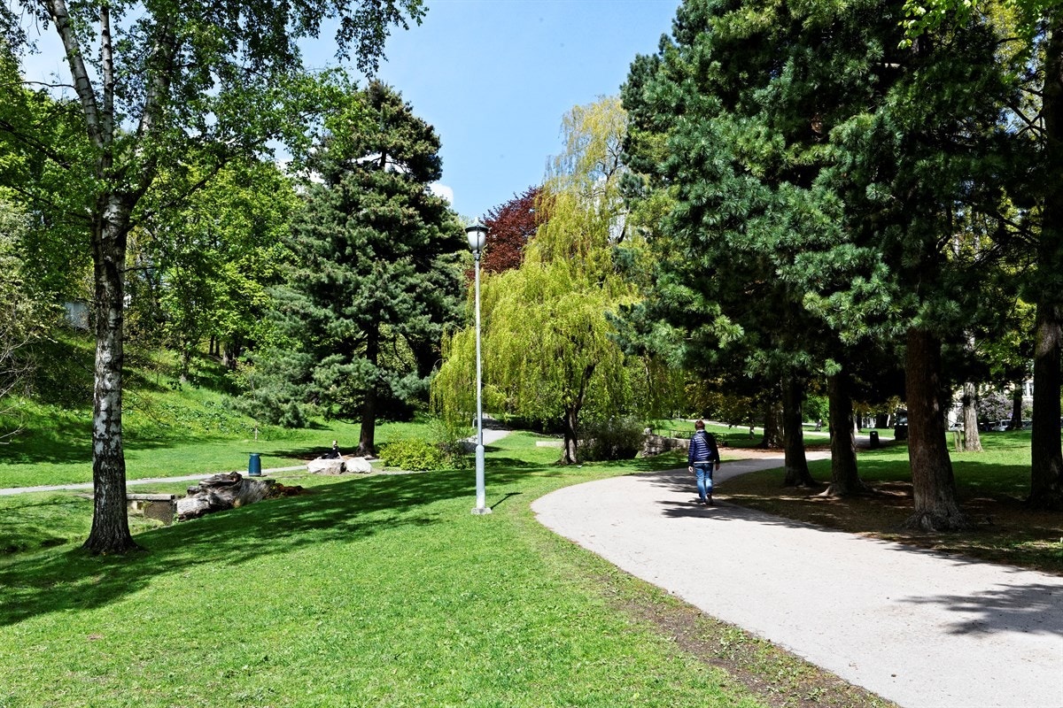 Nydelig nærområde med alt av fasiliteter innenfor kort avstand Galleribilde