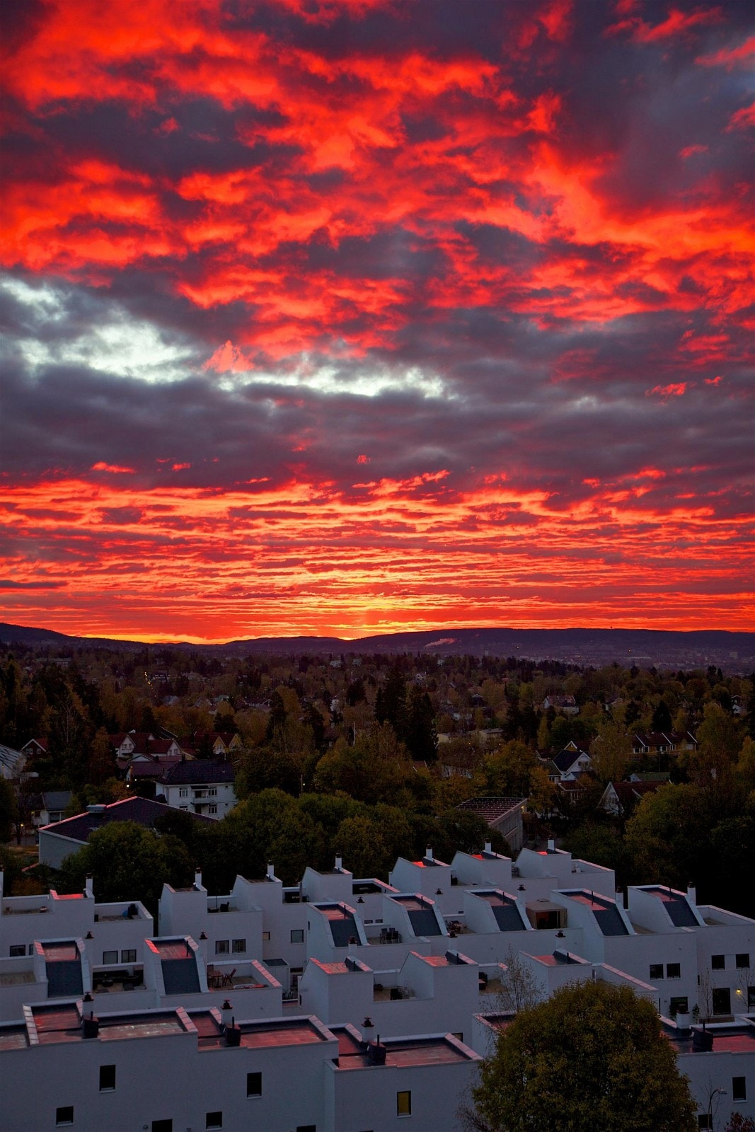 Fin morgenbilde. Galleribilde