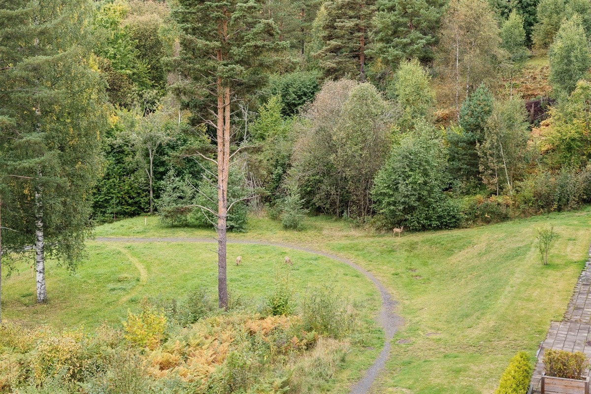 Utsikt Galleribilde