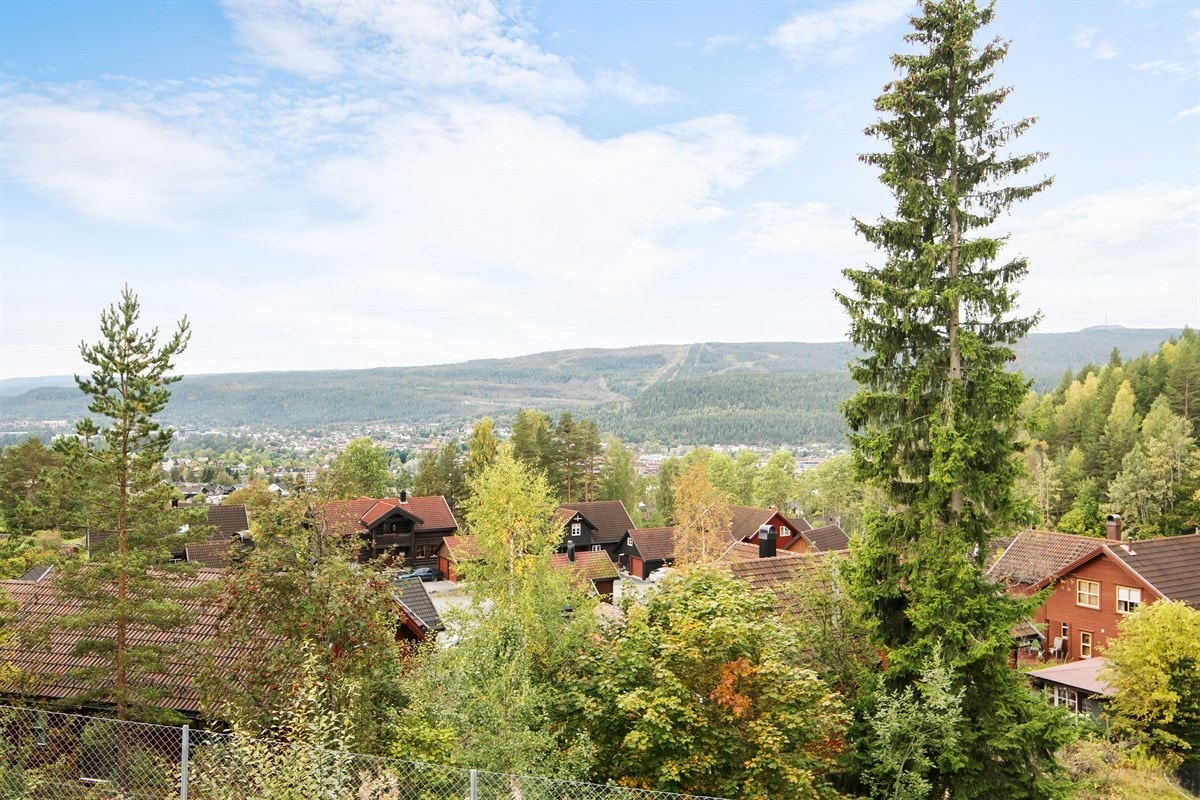 Utsikt Galleribilde