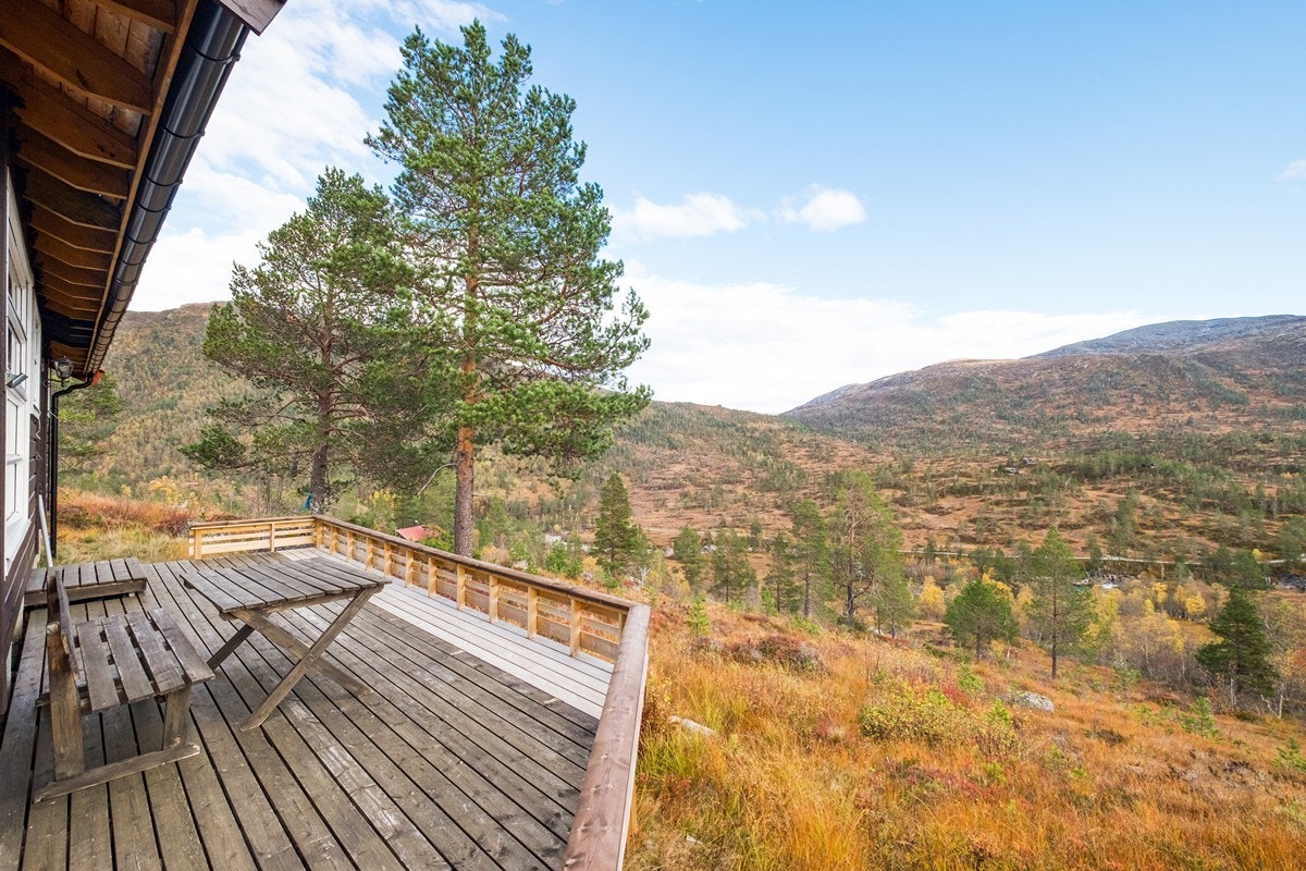 Veranda Galleribilde