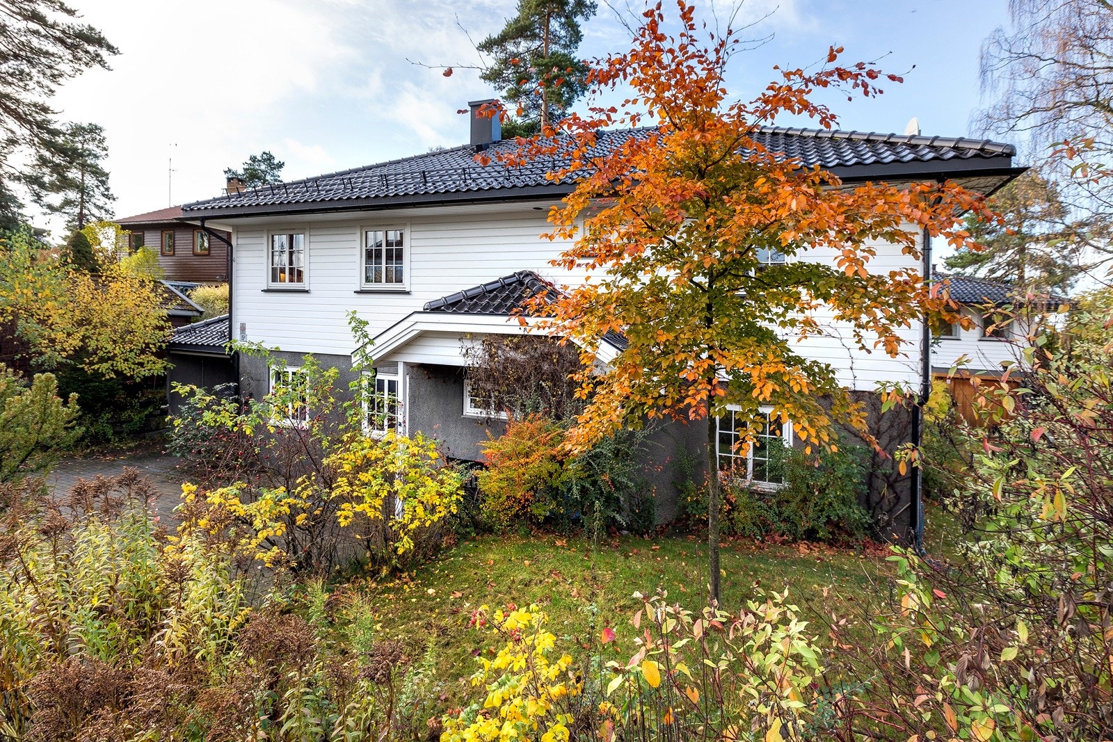 Fasade. Galleribilde