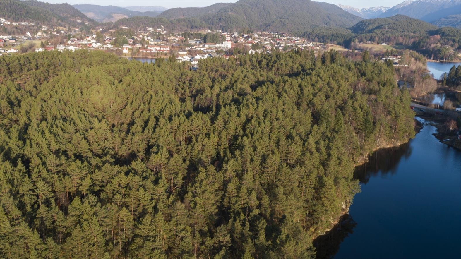 DJI_0017 Galleribilde
