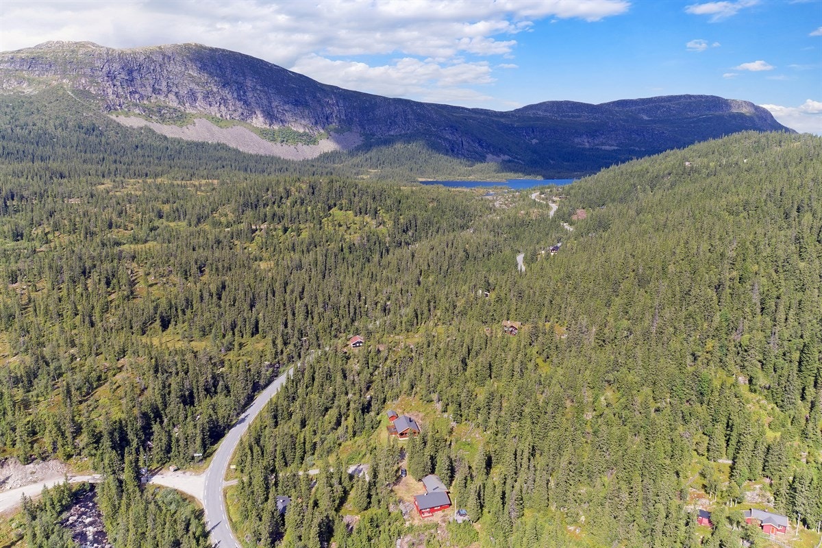 Fantastiske naturområder. Galleribilde