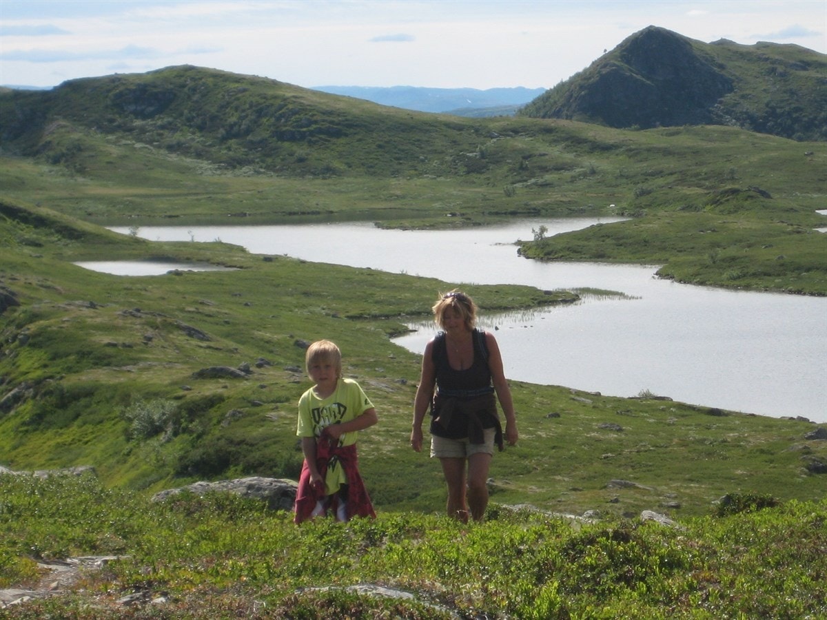 Fantastiske naturområder. Galleribilde