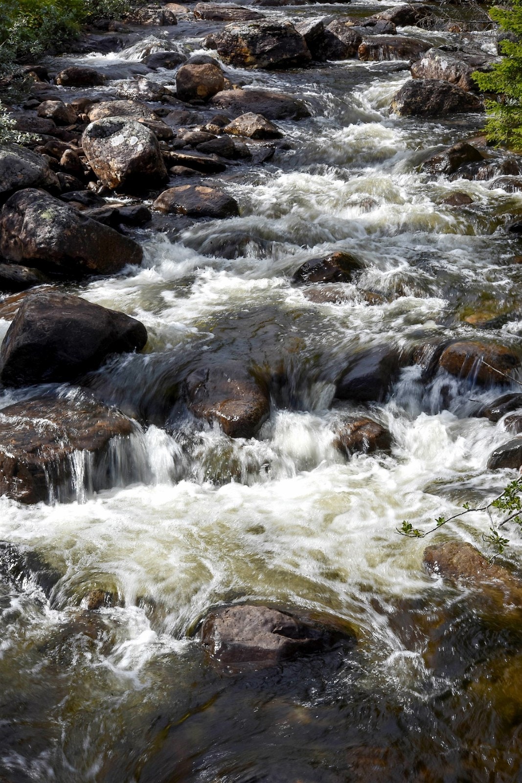 Friske rennende bekker i turområdene. Galleribilde