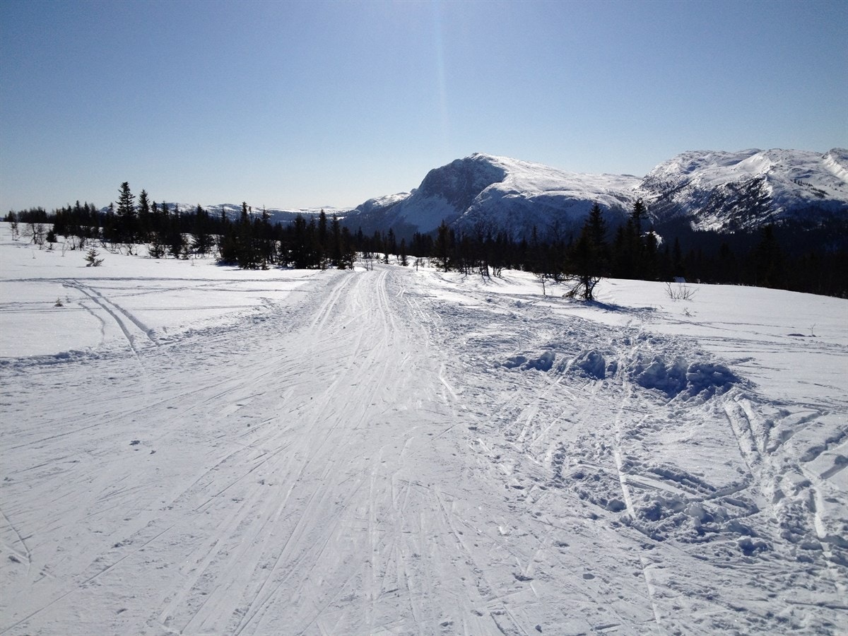 Ved Haglebu ligger et familievennlig skisenter med tre heiser og syv bakker. Galleribilde