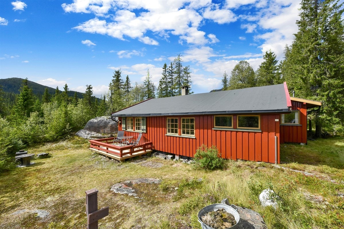 Koselig terrasse der man kan sitte i le og kose seg i solveggen. Galleribilde