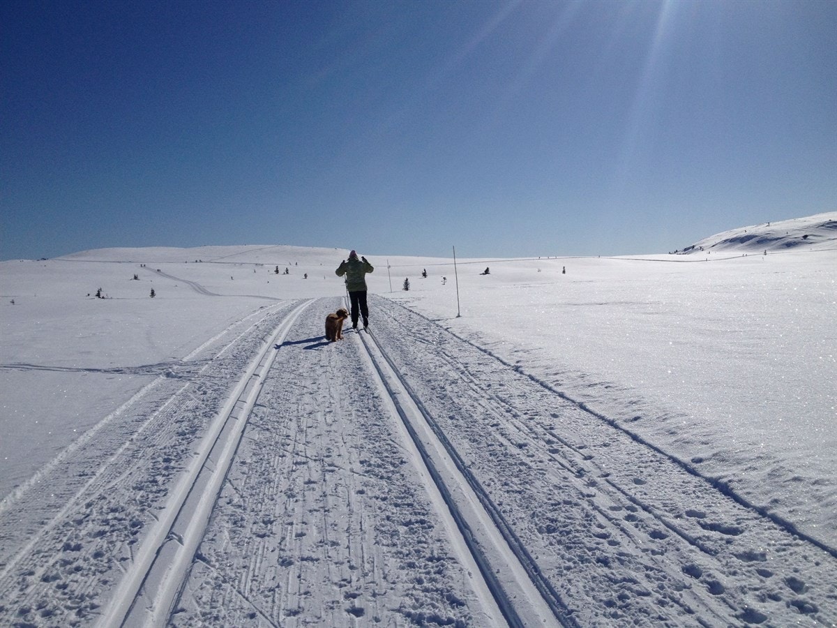 På vinteren er det unike muligheter for familie og venner til å ta med seg skiene ut i gode skiløyper. Galleribilde