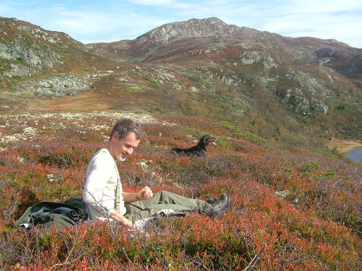 Flotte turterreng for hele familien. Galleribilde