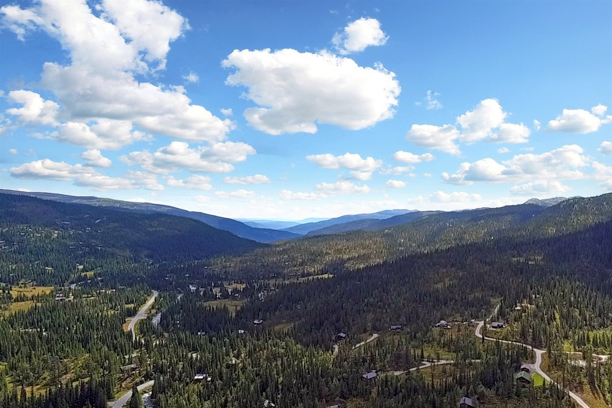 Fantastisk utsikt fra terrasse mot vakker natur. I nærliggende natur er det mulighet for rike naturopplevelser, som f.eks. flotte turer, fisking i krystallklare fjellvann og bærplukking. Galleribilde