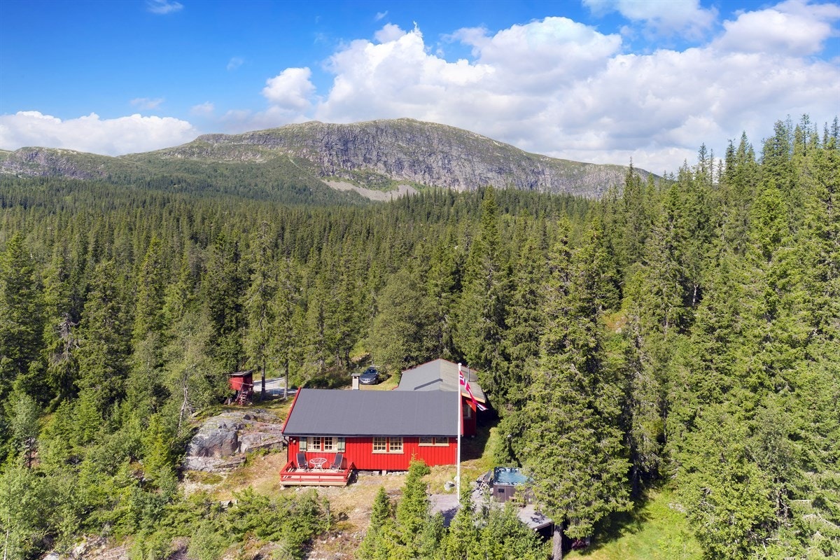 Ta kontakt med John Granly Steen for en privatvisning på tlf 93 69 33 81 eller e-post: john@privatmegleren.no Galleribilde