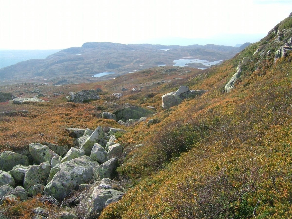 Flotte turterreng for hele familien. Galleribilde