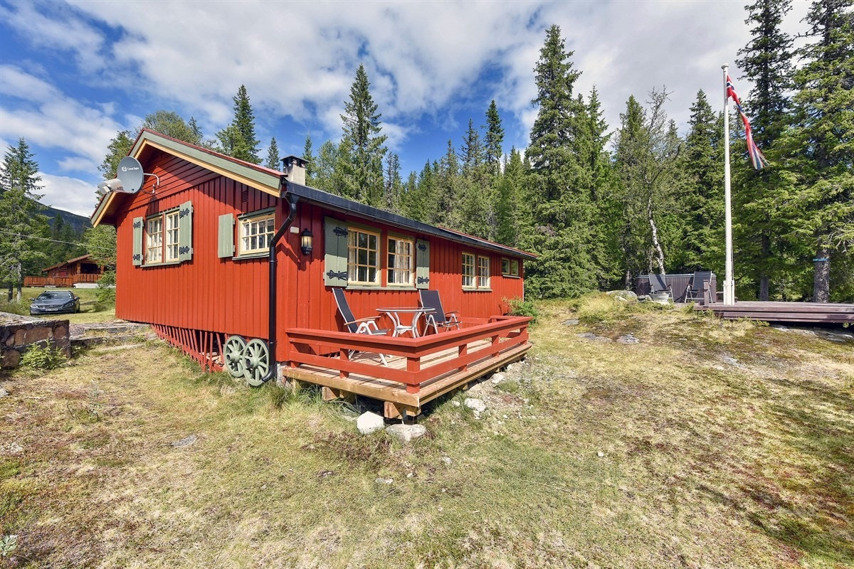 Ønsker du ytterligere servicetilbud har Nesbyen kjøpesenter et variert utvalg med bl.a. post, bank, minibank, apotek, vinmonopol, mote, interiør, blomster, frisør og kafé/restaurant etc. Galleribilde