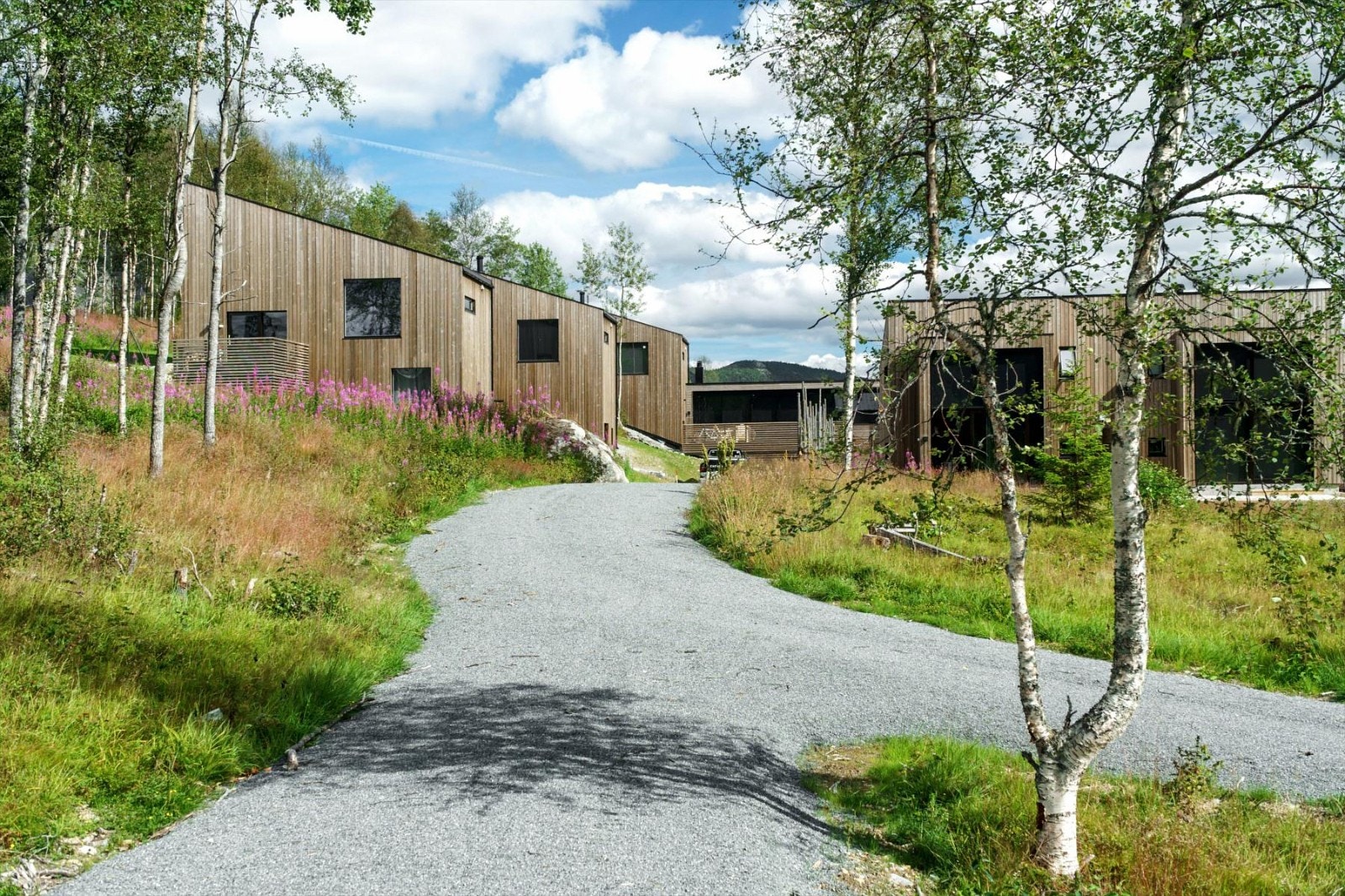 Fra front av feltet. Pent opparbeidet utearealer, her fra front av trinn 1. Galleribilde