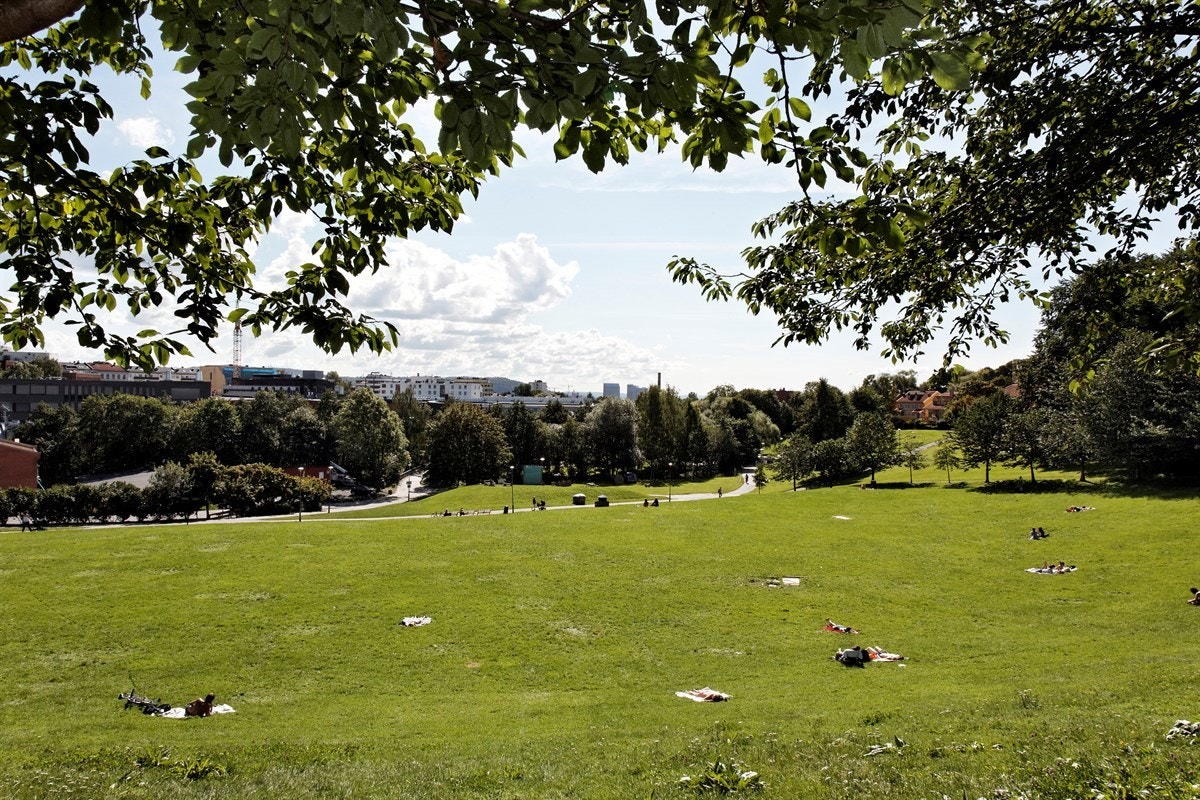 Området har nærhet til en rekke parker. Galleribilde
