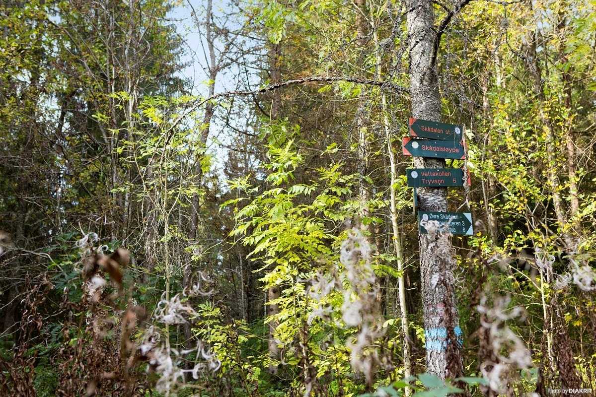 Områdebilde Galleribilde