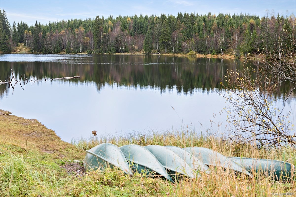 Områdebilde Galleribilde